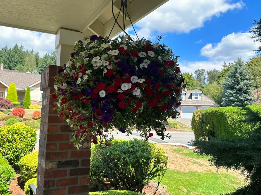 A hanging basket of red, white and purple flowers on the brick pillar by the entrance